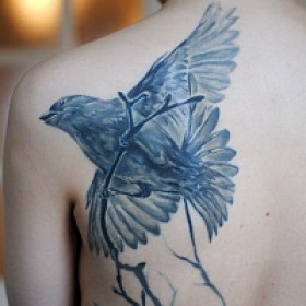 Dove Tattoo