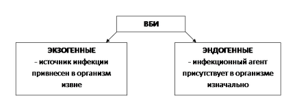 Тема 02