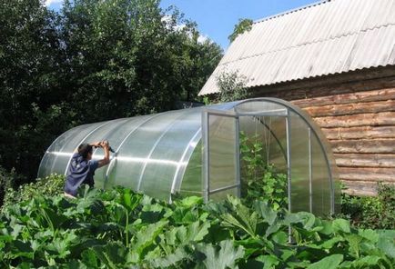 Greenhouse polikarbonát őszi kezelés kártevők és betegségek ellen, hogyan kell gondoskodni, takarítás,