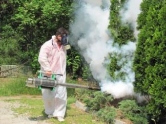 Greenhouse polikarbonát őszi kezelés kártevők és betegségek ellen, hogyan kell gondoskodni, takarítás,