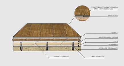 Tehnologie de stabilire a planșeu - cum să așezați în mod corespunzător planșeu pe podea, lipici