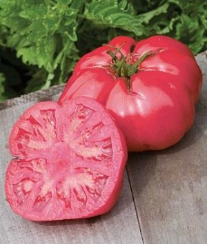 Томат - м'ясистий красень опис сорту, характеристики помідор, рекомендації по догляду