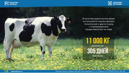 Transplantarea de noi posibilități de embrioni - agroxxi