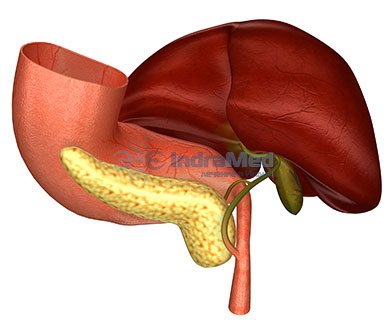 Transplantul (transplantarea) pancreasului în India