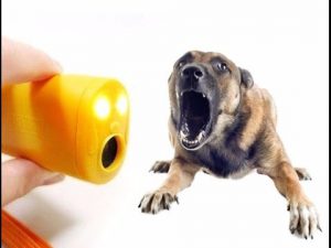 Ultrasonic câine repeller câine vraci preț, recenzii, analogi, tipuri