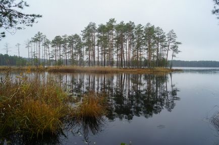 Унікальні озера нижегородської області