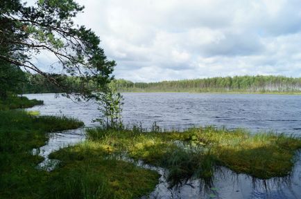 Унікальні озера нижегородської області