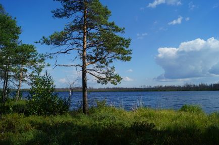 Унікальні озера нижегородської області