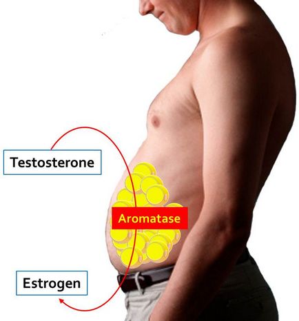 Nivelul hormonului masculin testosteron în organism și norma sa