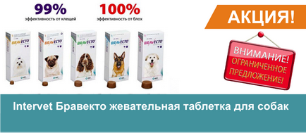 Îngrijire de câine, Magazin online de animale de companie
