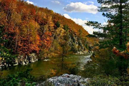 Вакансії в заповідниках