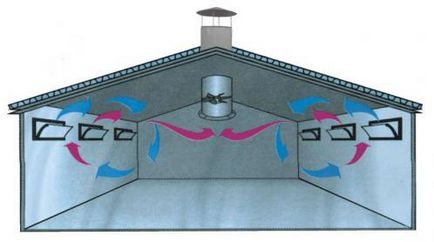 Ventilarea într-o mașină de porc vă tehnologie, schema