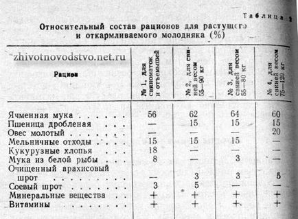 Вирощування і відгодівля свиней