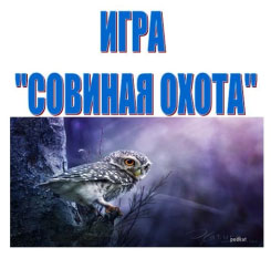 Позакласний захід на тему - познайомимося з совою, або чому не треба боятися сови