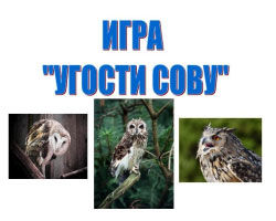 Позакласний захід на тему - познайомимося з совою, або чому не треба боятися сови