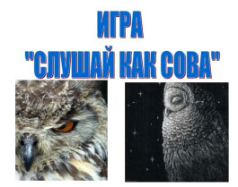 Позакласний захід на тему - познайомимося з совою, або чому не треба боятися сови