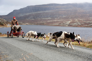 Înainte, în socialism înghețat! Spitsbergen, Norvegia, un site pentru călătorii de cultură