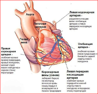 Вперше в Самарі - комп'ютерна томографія серця на томографі, оснащеному спеціальним програмним