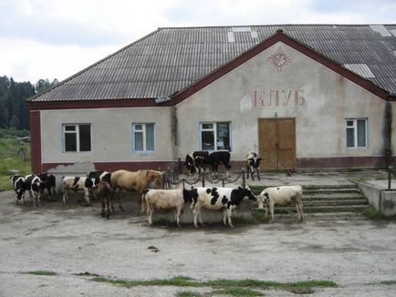 В сусіднє село, в клуб! Все на дискотеку! Все все!