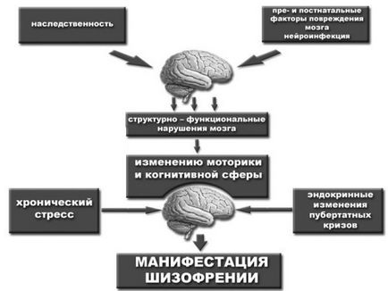 Уповільнена шизофренія симптоми і ознаки у жінок і чоловіків