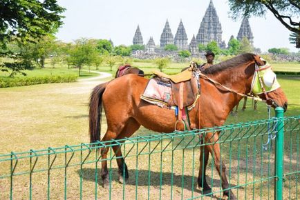 Templul Borobudur și Prambanan - obiective turistice din Djokjakarta, viața blogului cu un vis!