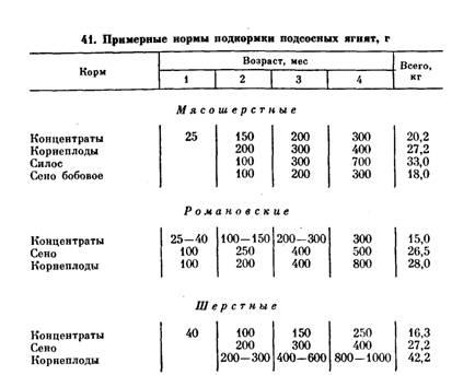 Lambing anyajuh és bárány tenyésztés és tenyésztési a szoptatási időszak alatt (időszak) Ellés anyajuh és bárány tenyésztés és a növendékek nevelésére a szoptatási időszak