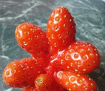Povestea Berry - cremă-gel de duș cu gel pură, care mărește elasticitatea