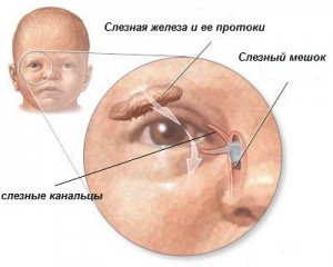 Закисає очей у новонародженого, причини і як лікувати