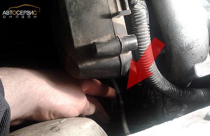 Înlocuirea senzorului de fază pe autovehiculele de fecale ale unui viburnum, un anterioară și o acordare (16 valve), repararea autovehiculelor