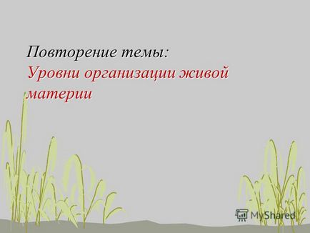 Живі системи вважаються відкритими бо вони