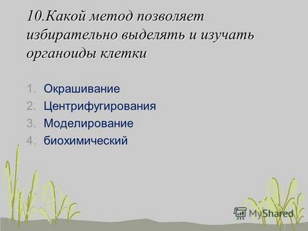 Живі системи вважаються відкритими бо вони