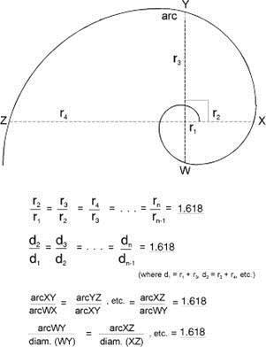 Aranymetszés Fibonacci