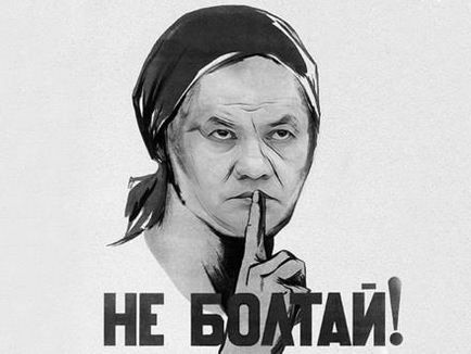 Даремно - туди-сюди - розсердив Шойгу - суспільство - новини санктрпетербурга