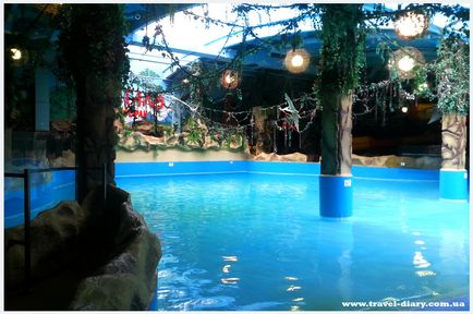 Vízipark Kieve Dream Town (vízi vidámpark) A vízi park Kijevben Dream Town