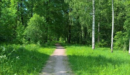 Babolovsky Park, csak az élet