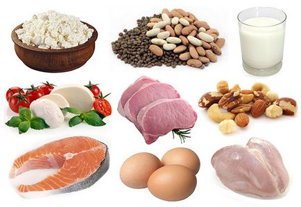 fehérjetartalmú étrend