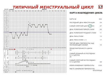 Сприятливі дні для зачаття, ознаки плідності слиз, температура, положення шийки матки