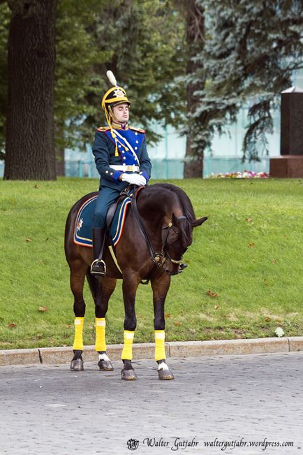 Ceremonia de divorț ecvestru în Kremlin, fotoblog