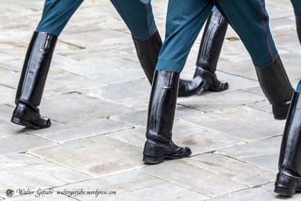 Az ünnepélyes lovas válás a Kremlben, fotoblog