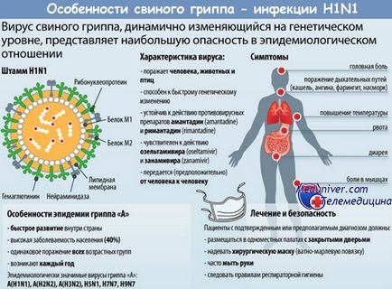 Mit kell tenni, hogy nem kap a beteg sertésinfluenza veszélyesebb, mint a sertésinfluenza