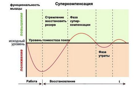 Що таке суперкомпенсация