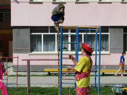 Cirkusz bohócok, idomított kutyákkal, egy majom és egy hófehér nyúl