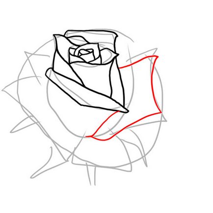 Квіти як намалювати бутон троянди