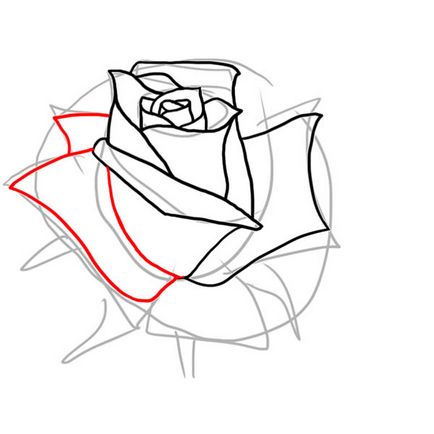 Квіти як намалювати бутон троянди