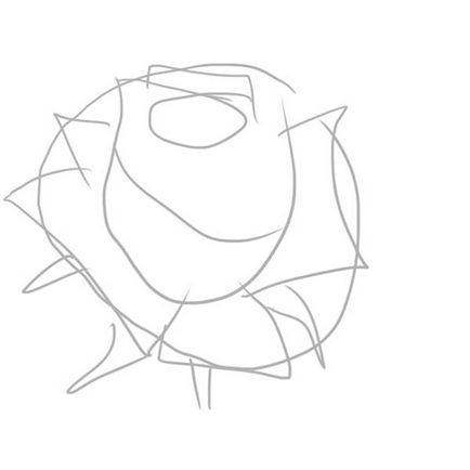 Flori cum să deseneze un buzunar de trandafir