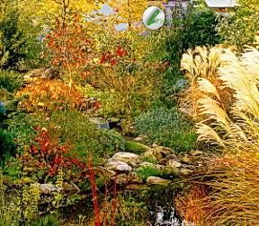 Декоративні композиції з дерев, чагарників і рослин в саду, біологічні, тематичні та