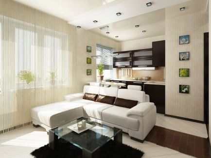 Design studio apartament 20 de metri pătrați (105 pics) bucătărie-cameră de zi, aspect cameră