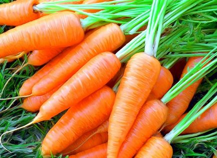 Деревна зола опис, властивості, застосування в якості добрива для моркви
