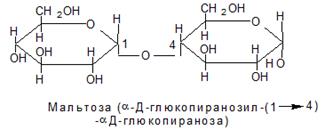 Два типу дисахаридів (на прикладі мальтози і сахарози) відмінність в будові і властивостях