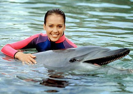 Jessica Alba (Jessica Alba) - életrajz, információkat, a személyes élet, fotó, videó (Jessica Alba) Jessica Alba (Jessica Alba) - életrajz, információkat, a személyes élet, fotó, videó